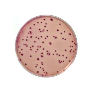 VRBL - 6 x 100 ml