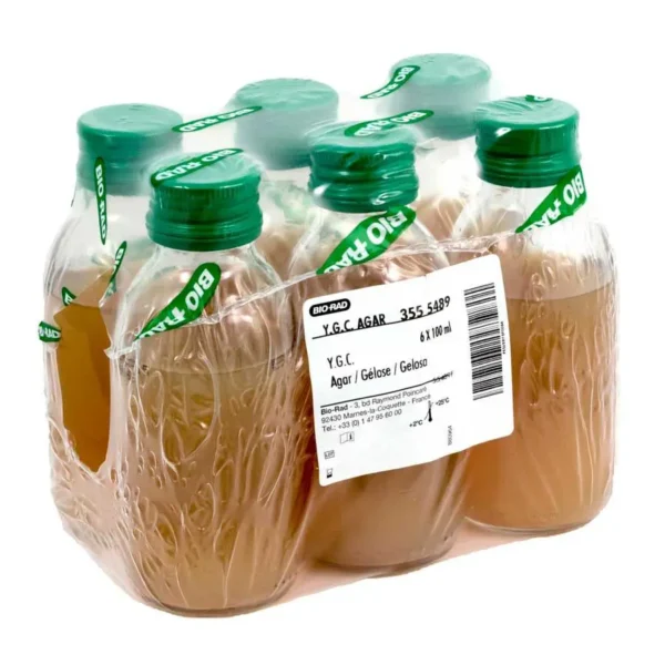 YGC agar