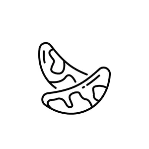 Brazil nut