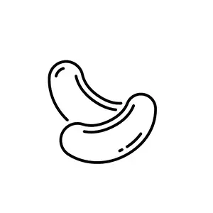 Cashew