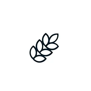 Gluten