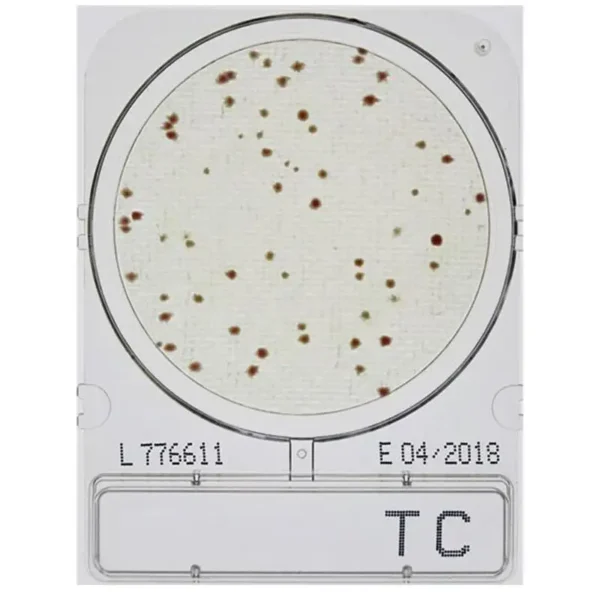 Compact Dry TC