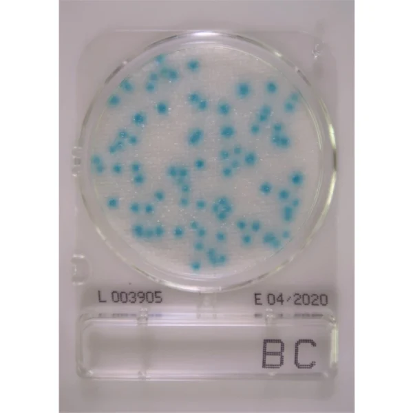 Compact Dry BC (40 stk.) - test af Bacillus cereus