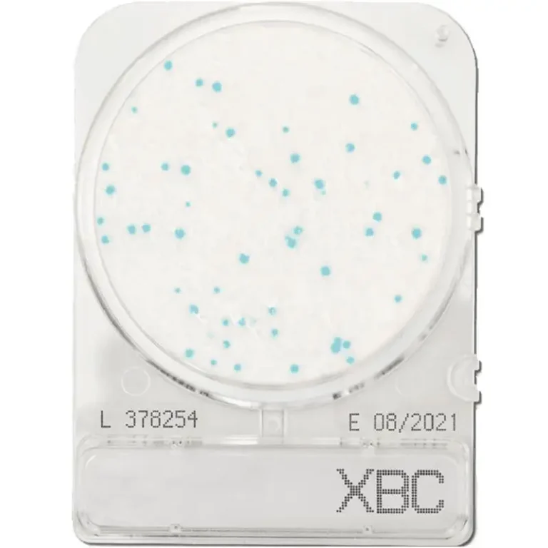 Compact Dry BC