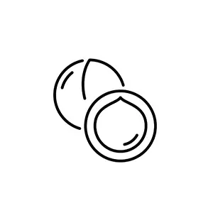 Macadamia