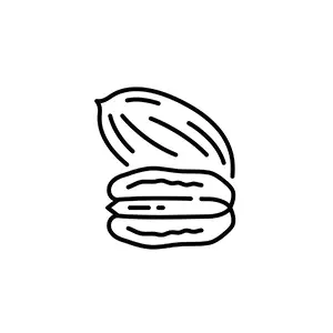 Pecan