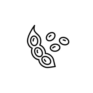 Soy