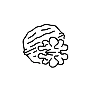 Walnut