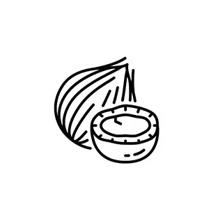 Coconut